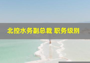 北控水务副总裁 职务级别